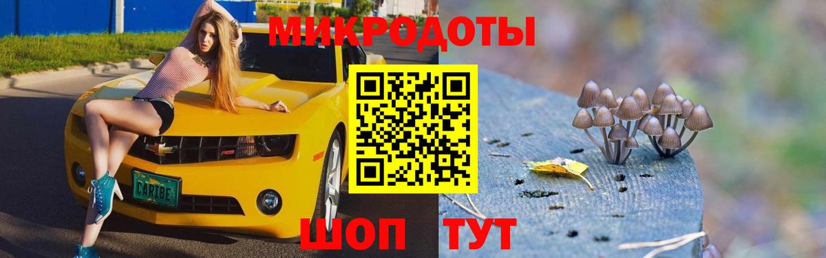 Псилоцибиновые грибы Cubensis Магадан
